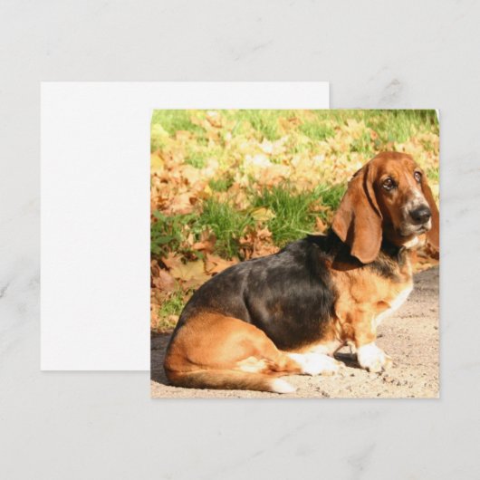 Basset Hound Sitting Invitations Kaart (Voorkant / Achterkant)