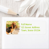 Basset Hound Sitting Mailing Labels (Insitu)
