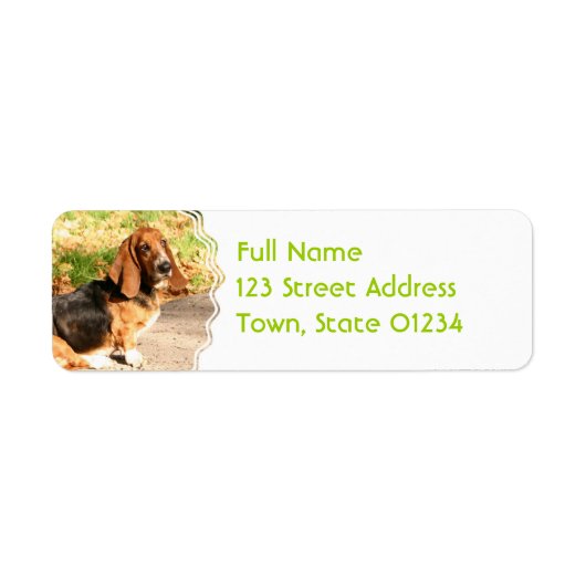 Basset Hound Sitting Mailing Labels (Voorkant)