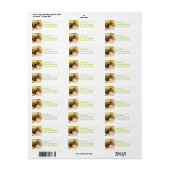 Basset Hound Sitting Mailing Labels (Full Sheet)