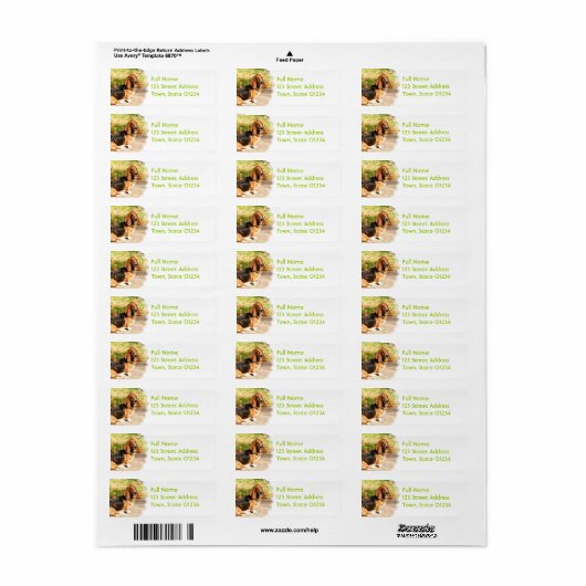 Basset Hound Sitting Mailing Labels (Full Sheet)