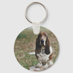 Basset Hound Sleutelhanger