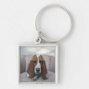 Basset Hound Sleutelhanger