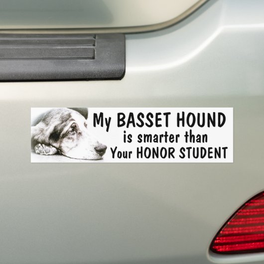 Basset Hound - Smarter dan eremstudent - grappig Bumpersticker (Op auto)