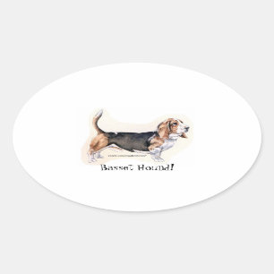Basset Hound. Sticker