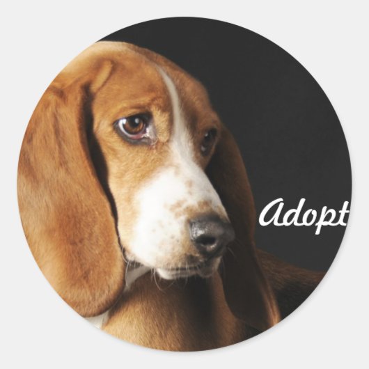 Basset hound sticker (Voorkant)