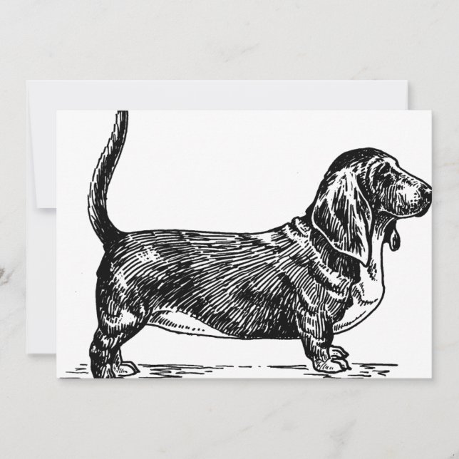 basset hound tekening.png (Voorkant)
