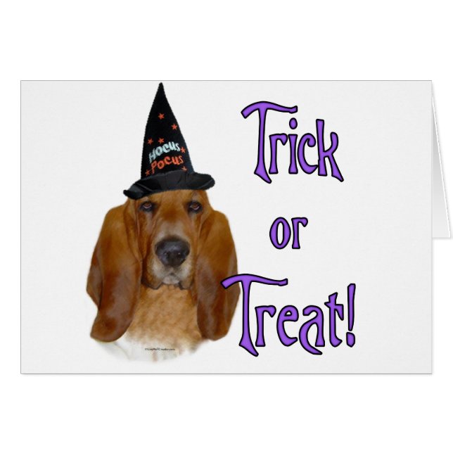 Basset Hound Trick (Voorkant Horizontaal)