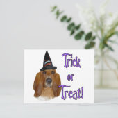 Basset Hound Trick Briefkaart (Staand voorkant)