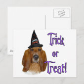 Basset Hound Trick Briefkaart (Voorkant / Achterkant)
