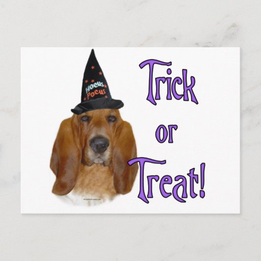 Basset Hound Trick Briefkaart (Voorkant)