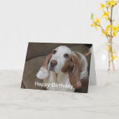 Basset Hound Verjaardag Kaart (Gele Bloem)
