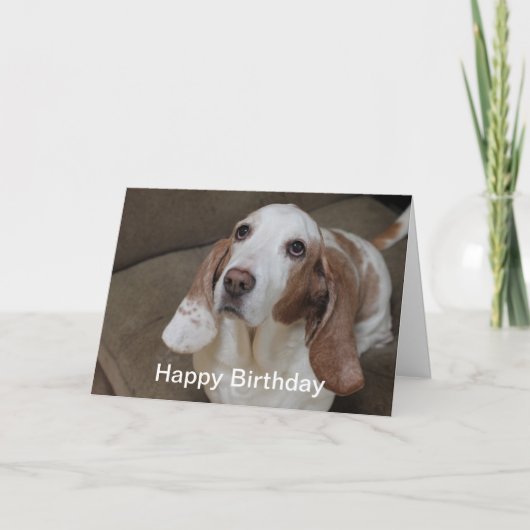 Basset Hound Verjaardag Kaart (Voorkant)