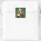 Basset Hound Verjaardag Lollipop Vierkante Sticker (Tas)