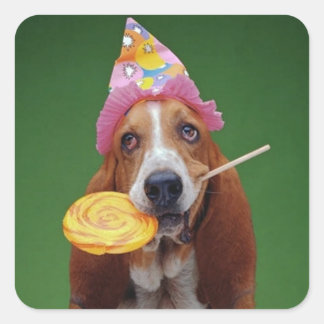 Basset Hound Verjaardag Lollipop Vierkante Sticker