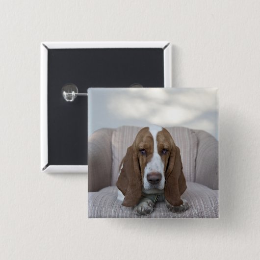 Basset Hound Vierkante Button 5,1 Cm (Voorkant /achterkant)