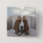 Basset Hound Vierkante Button 5,1 Cm (Voorkant)