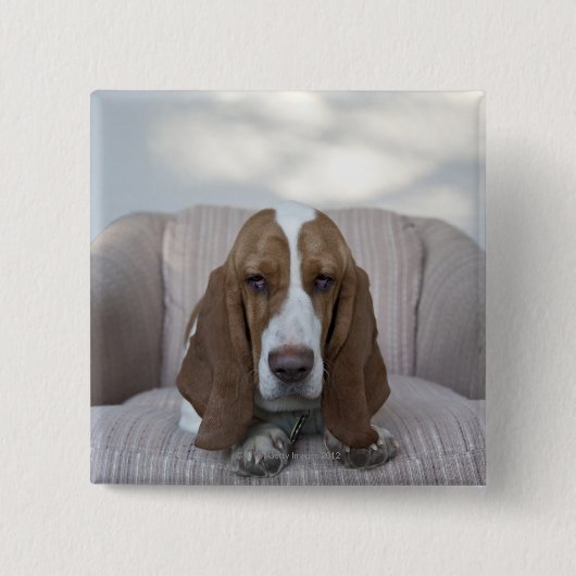 Basset Hound Vierkante Button 5,1 Cm (Voorkant)