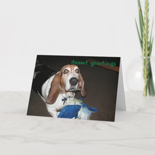 Basset hound-wenskaart kaart (Voorkant)