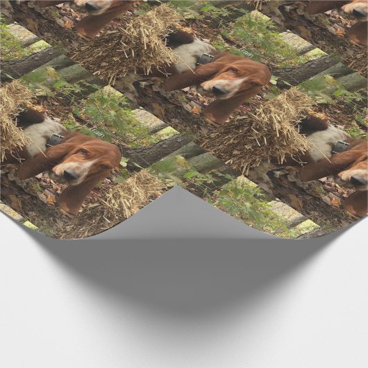 Basset hound wrappapier cadeaupapier (Hoek)
