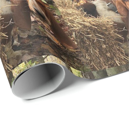 Basset hound wrappapier cadeaupapier (Rol Hoek)