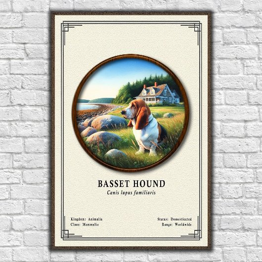Basset Hound Zoölogie Serie Poster