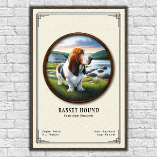Basset Hound Zoölogie Serie Poster