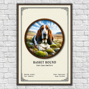 Basset Hound Zoölogie Serie Poster