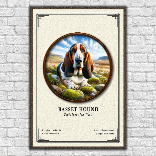 Basset Hound Zoölogie Serie Poster
