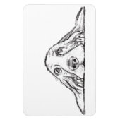 basset hound zwart wit eenvoudig puppy hondenogen  magneet (Verticaal)