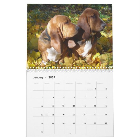 Basset Hounds 2012 Agenda Kalender (Jan 2027)