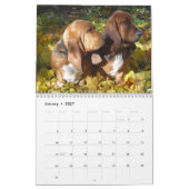 Basset Hounds 2012 Agenda Kalender (Jan 2027)