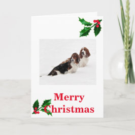 Basset Hounds in de sneeuw op kerstkaart. Feestdagen Kaart
