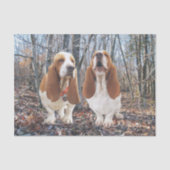 Basset Hounds in het Bos-weefselpapier Tissuepapier (Voorkant)