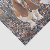 Basset Hounds in het Bos-weefselpapier Tissuepapier (Detail)