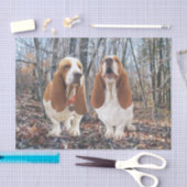 Basset Hounds in het Bos-weefselpapier Tissuepapier (Craft)