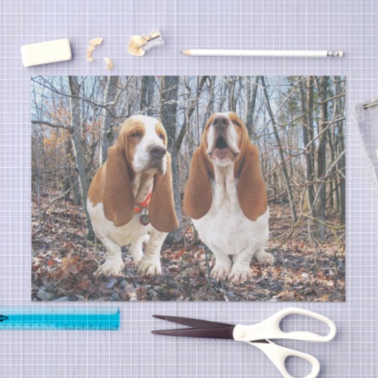 Basset Hounds in het Bos-weefselpapier Tissuepapier (Craft)