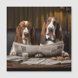 Basset hounds lezen van de krant