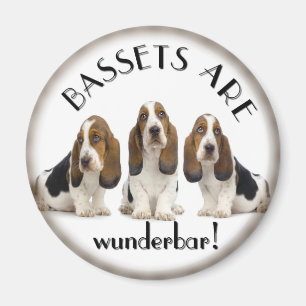 Basset Hounds Magneet