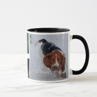 Basset Hounds Mok