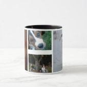 Basset Hounds Mok (Midden)