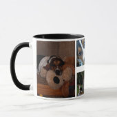 Basset Hounds Mok (Links)