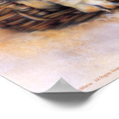 Basset Hounds Poster (Hoek)