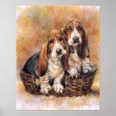 Basset Hounds Poster (Voorkant)