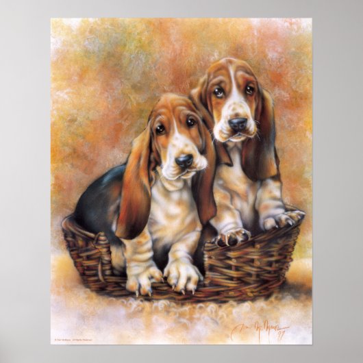 Basset Hounds Poster (Voorkant)