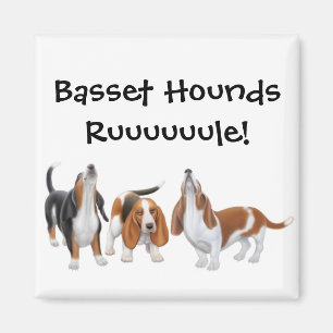 Basset Hounds Rule Magnet