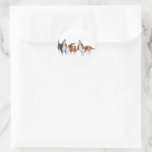 Basset Hounds Sticker (Tas)