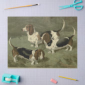  Basset Hounds Tissuepapier (Craft)