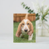 Basset Houng Puppy Walking Briefkaart (Staand voorkant)
