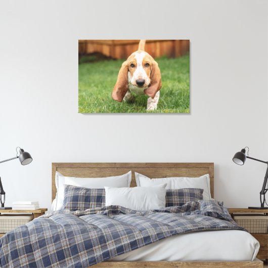 Basset Houng Puppy Walking Canvas Afdruk (Insitu (Slaapkamer))